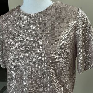 Sparkly Metallic Short Sleeve Blouse, Size S